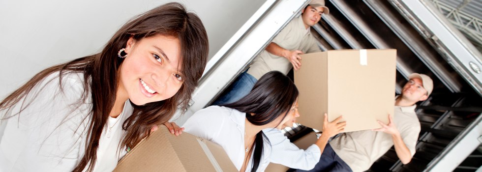 Professional Removalists Vaucluse
